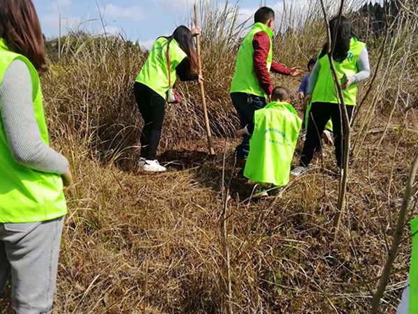 佳節(jié)植一樹，環(huán)保我先行-鑫川電在路上