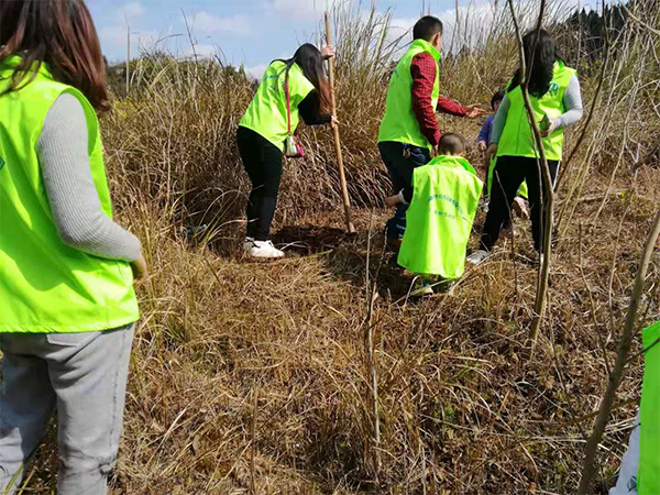 植樹節(jié)活動