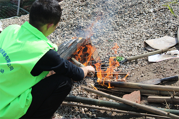 植樹節(jié)活動